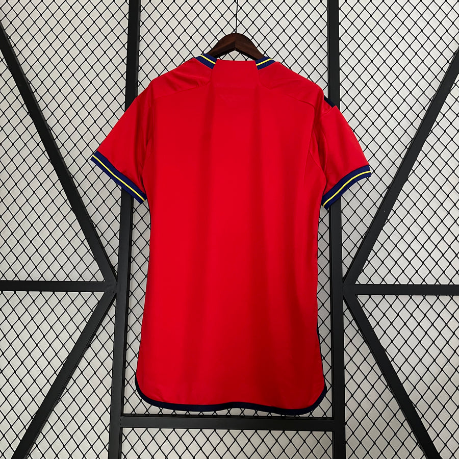 MAILLOT ESPAGNE DOMICILE 2024/25