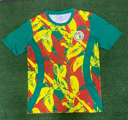 Maillot 24/25 Sénégal
Spécial