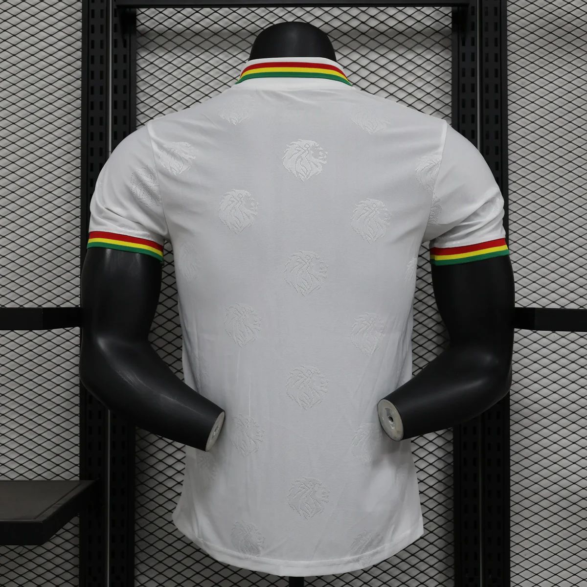 Maillot 24/25 Sénégal
Spécial