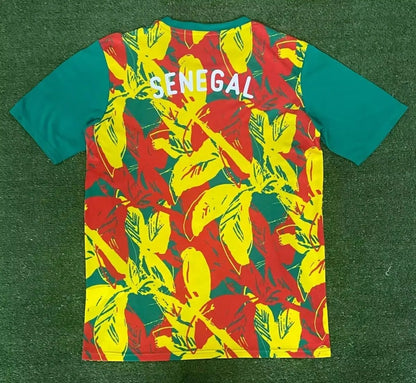 Maillot 24/25 Sénégal
Spécial