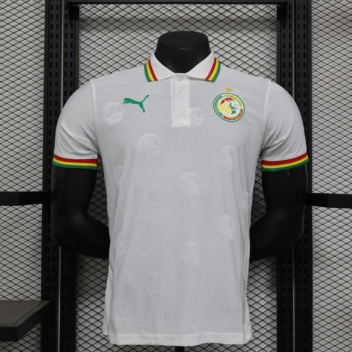 Maillot 24/25 Sénégal
Spécial