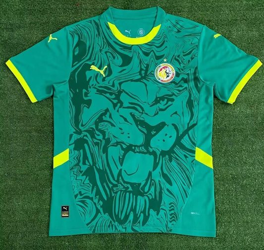 Maillot 24/25 Sénégal
Spécial