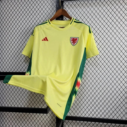 Maillot Pays de Galles Extérieur
2024/2025