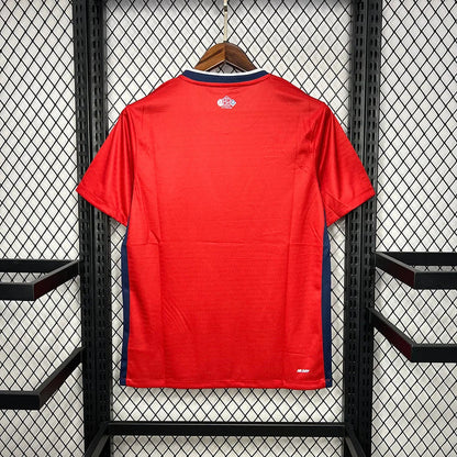 MAILLOT LILLE  DOMICILE 2023/24